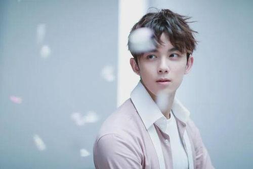 吴磊向涵之圈内人爆料,圈内人真实生活揭秘 第3张 吴磊向涵之圈内人爆料,圈内人真实生活揭秘 第3张