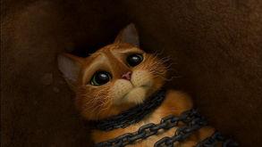 穿靴子的猫电影在线观看,魔法冒险之旅在线观影指南 第1张 穿靴子的猫电影在线观看,魔法冒险之旅在线观影指南 第1张